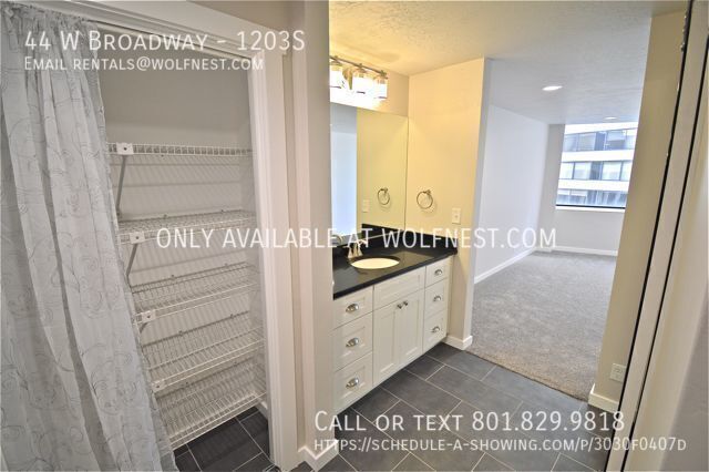 Remodeled 2 Bed Downtown Condo! No Deposit Option! property image