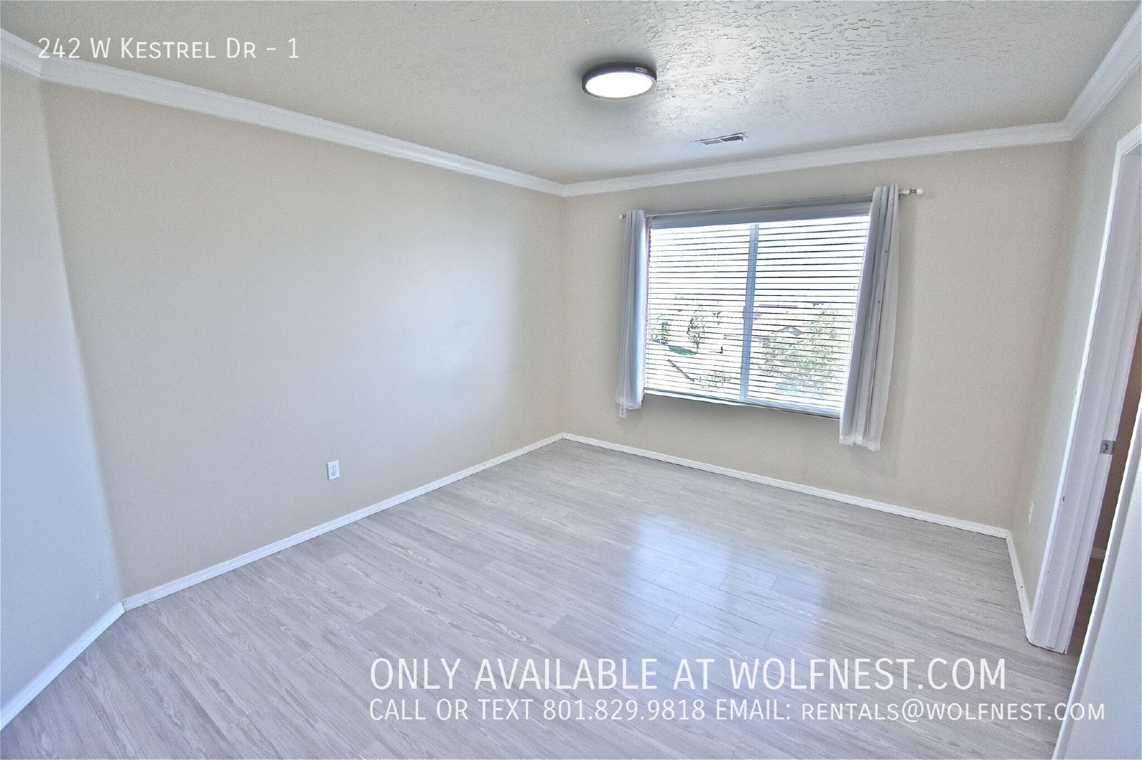 Stunning 3 Bed Saratoga Springs Upstairs Unit! property image