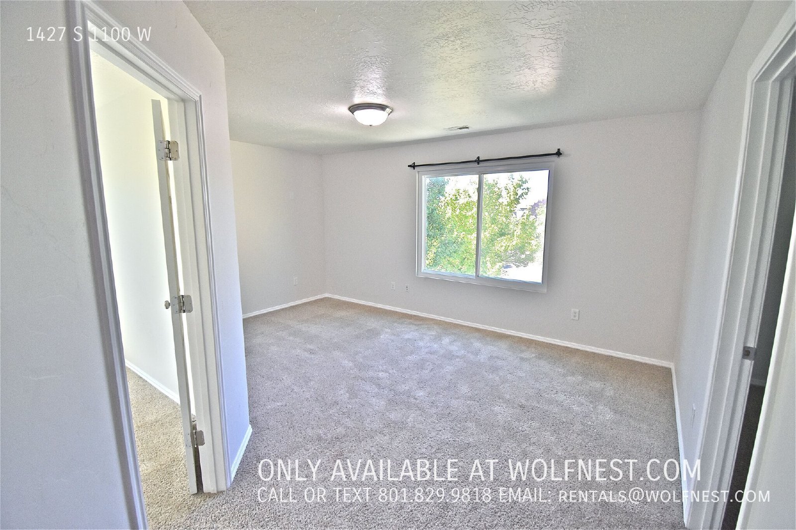 Gorgeous 5 Bed / 2.5 Bath Springville Home! property image