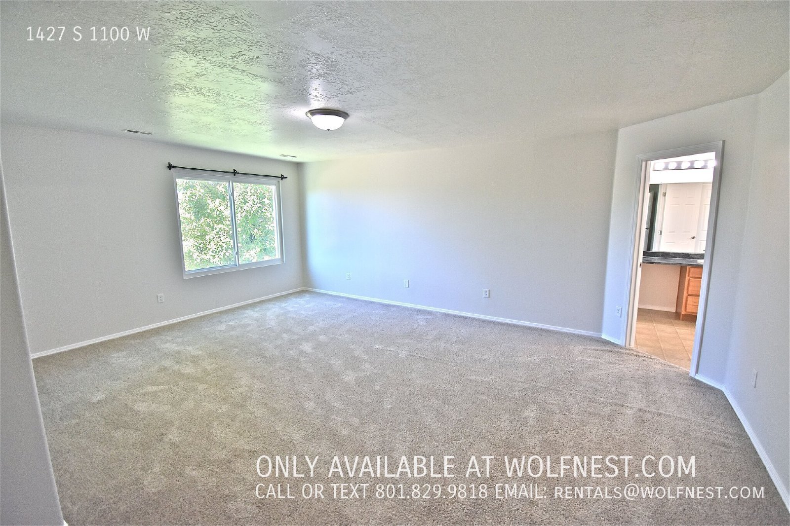 Gorgeous 5 Bed / 2.5 Bath Springville Home! property image