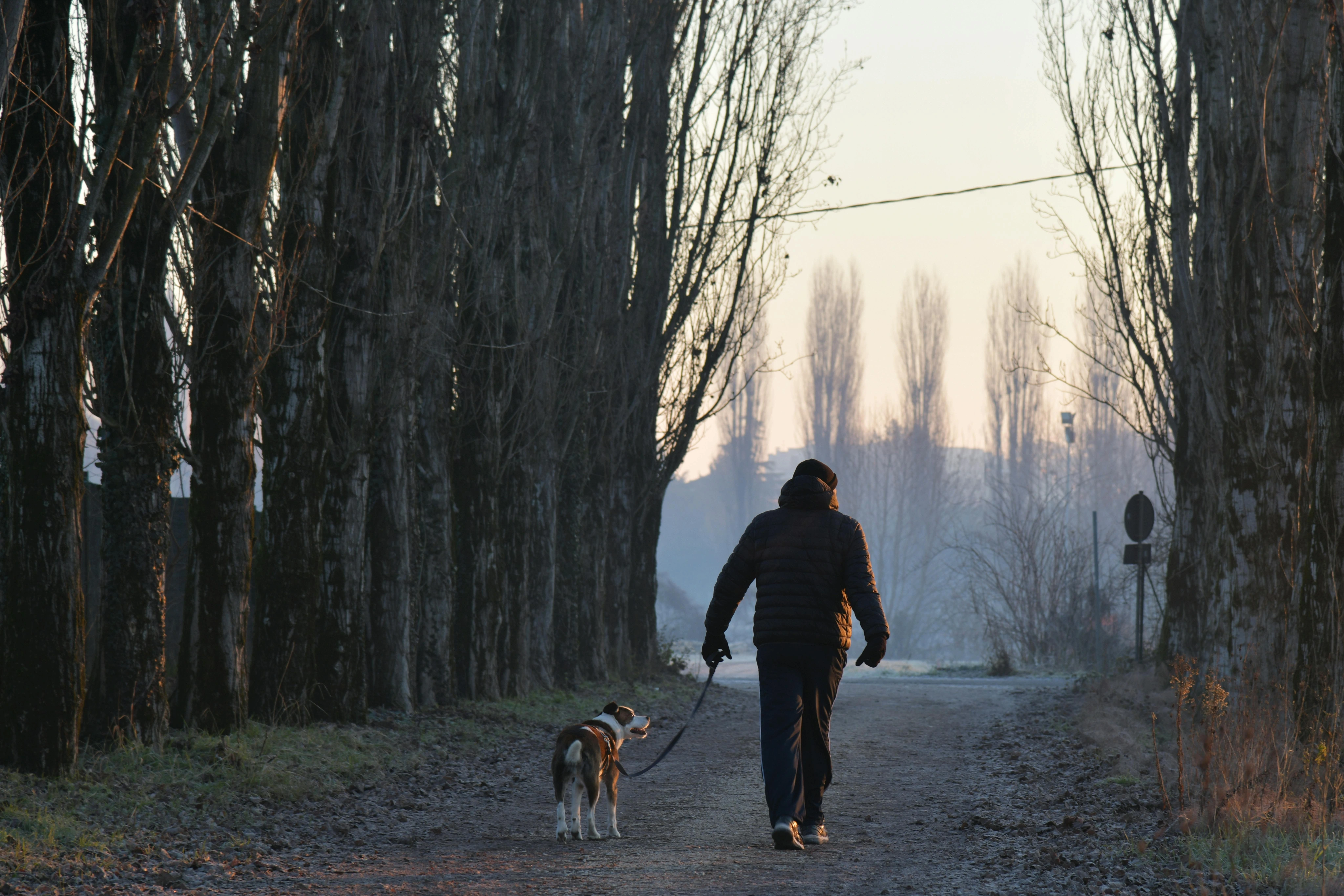 A person walking their dog
